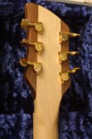 Rickenbacker 650-S Sierria headstock rear.jpg